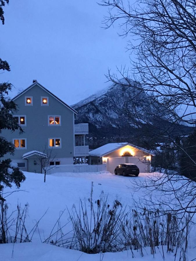 Apartment Dreamvalley Isfjorden エクステリア 写真