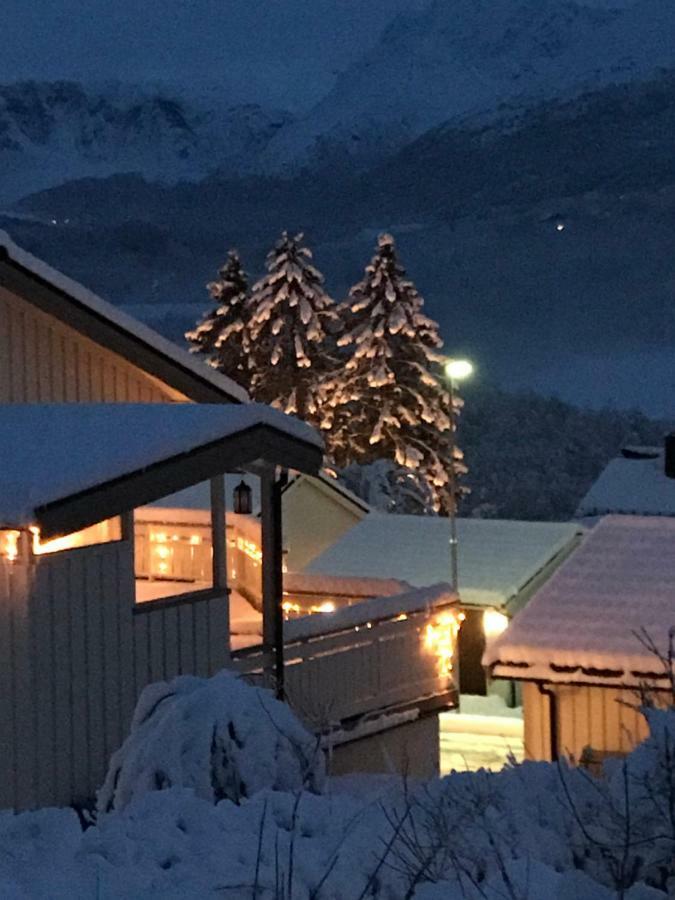 Apartment Dreamvalley Isfjorden エクステリア 写真